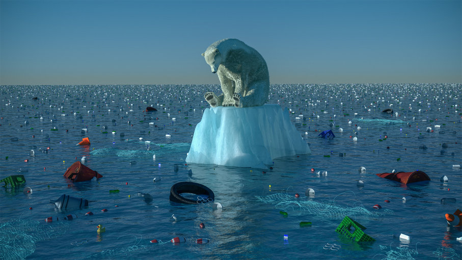 Rappresentazione grafica della perdita dell'habitat dell'orso polare.